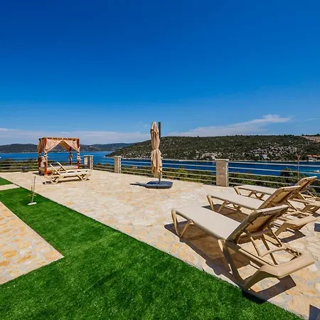 Olea * 大德尔韦尼克