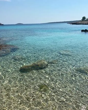 Olea Drvenik Veli