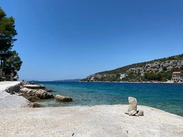 Olea * Veliki Drvenik